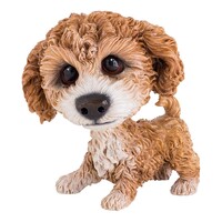 Pets With Personality - Little Paws - Molly Cavachon