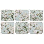 Ashdene Elegant Rose - Coaster 6 Pack - Mint
