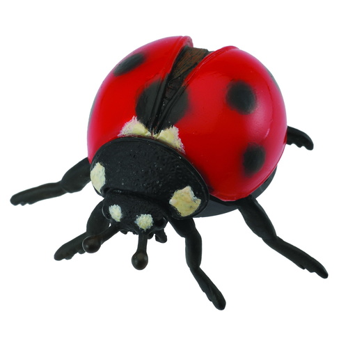 CollectA Insects - Ladybird