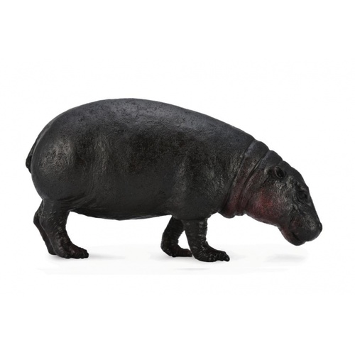 CollectA Wild Life - Pygmy Hippopotamus