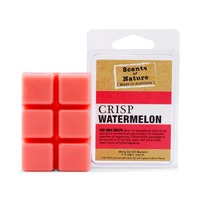 Scents of Nature by Tilley Soy Wax Melts - Crisp Watermelon