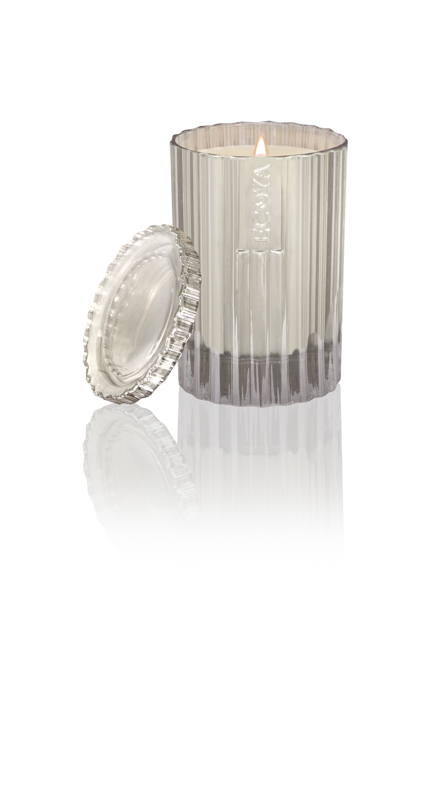 Ecoya Christmas Edition Small Candle Pine Needles