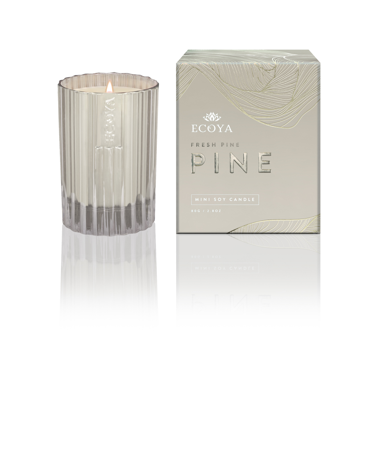 Ecoya Christmas Edition Small Candle Pine Needles