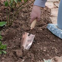 Jardinopia Adult Gardening Trowel - Beatrix Potter Peter Rabbit