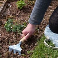 Jardinopia Childrens Gardening Hand Rake - Beatrix Potter Peter Rabbit