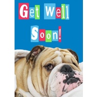Greeting Card - Get Well Soon - Bulldog