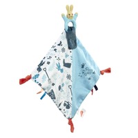Beatrix Potter Peter Rabbit - Developmental Comfort Blanket