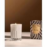 Ecoya Mini Celebration Candle - Special Edition White Musk & Warm Vanilla