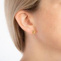 Disney Couture Kingdom - Winnie the Pooh - Pooh Stud Earrings Yellow Gold