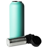 T2 Stainless Steel Flask - Aqua