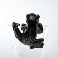 Jardinopia Pot Buddies - Antique Bronze Frog