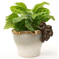 Jardinopia Pot Buddies - Antique Bronze Panda & Baby