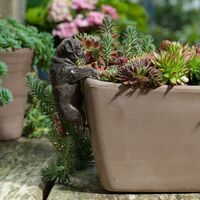 Jardinopia Pot Buddies - Antique Bronze Pug
