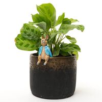 Jardinopia Pot Buddies - Beatrix Potter: Peter Rabbit Sitting On Pot
