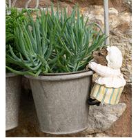 Jardinopia Pot Buddies - Beatrix Potter: Mrs Tiggy-winkle