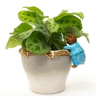 Jardinopia Pot Buddies - Beatrix Potter: Tom Kitten