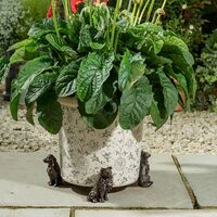 Jardinopia Potty Feet - Antique Bronze Border Collie (Set Of 3)