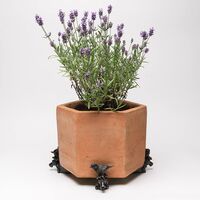 Jardinopia Potty Feet - Antique Bronze Wren On Tap (Set Of 3)