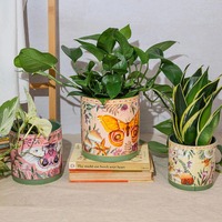 La La Land Field Trip - Pot Planter (Set of 3)