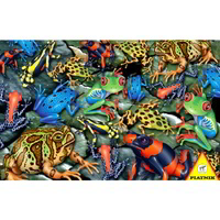 Rainforest Frogs Puzzle (1000 pieces)