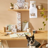 Pilbeam Living - Pawfect Scented Drawer Liners