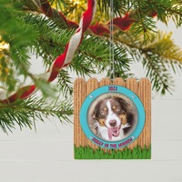 2023 Hallmark Keepsake Ornament - Doggy in the Window Photo Frame
