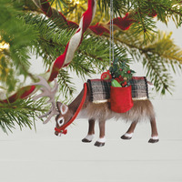 2022 Hallmark Keepsake Ornament - Father Christmas's Reindeer