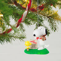 2021 Hallmark Keepsake Ornament - The Peanuts Gang Snoopy's Pawpet Show