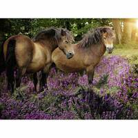 Ravensburger Puzzle 500pc - Ponies in the Flowers