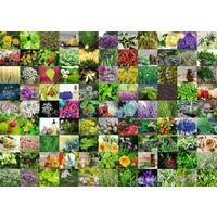 Ravensburger Puzzle 1000pc - 99 Herbs and Spices