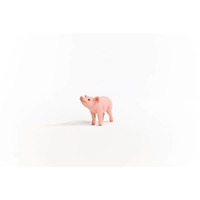 Schleich Farm World - Piglet