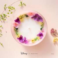 Disney x Short Story Candle - Tangled