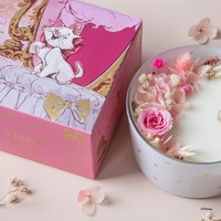 Disney x Short Story Candle - Marie