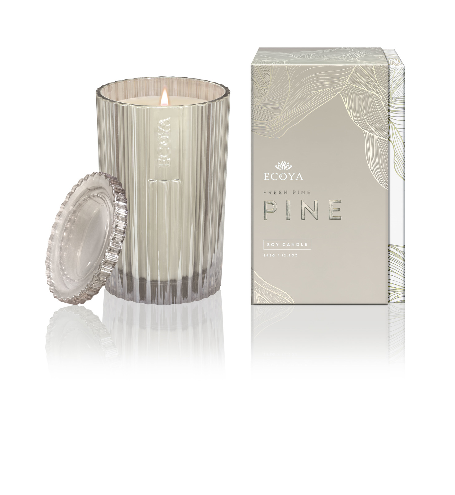 Ecoya Christmas Edition Large Candle Pine Needles