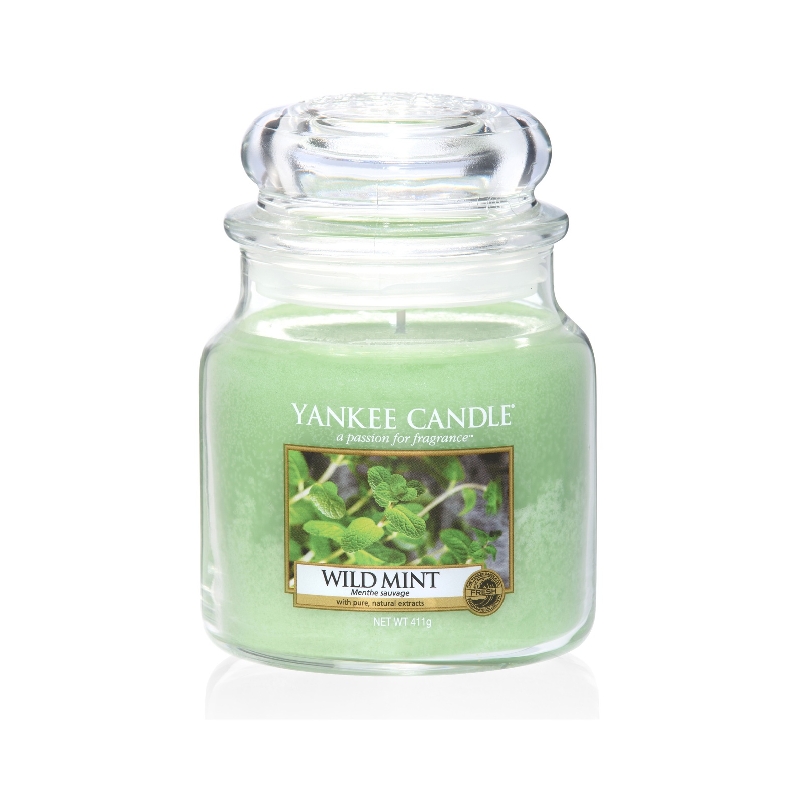 Yankee Candle Medium Jar Wild Mint