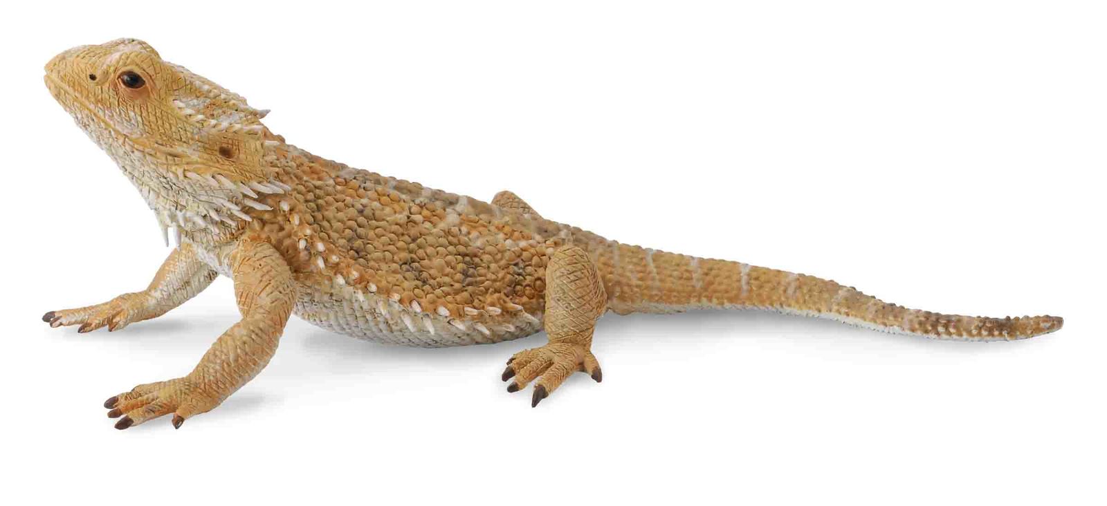 CollectA Insects Bearded Dragon Lizard