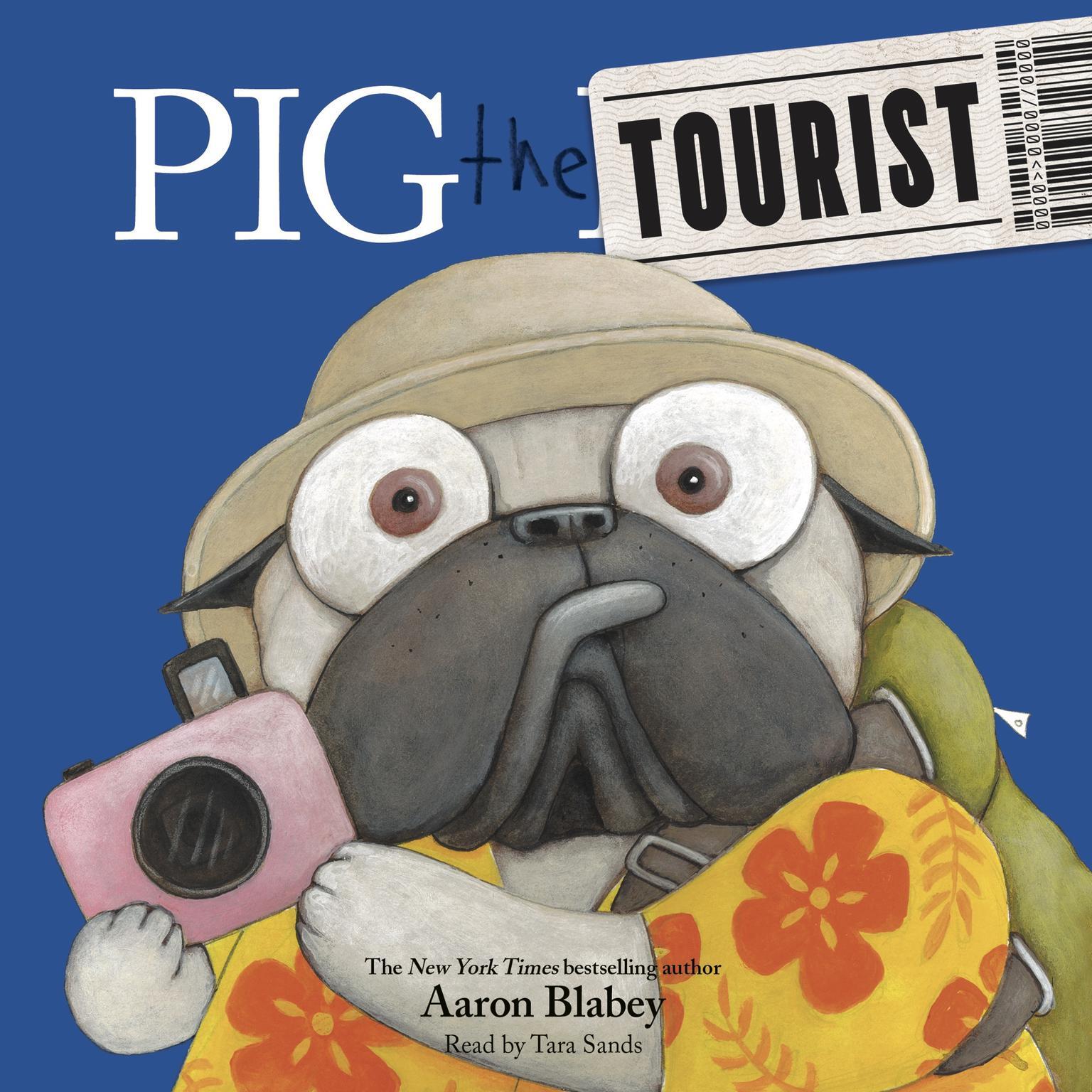 Pig The Tourist pig-the-tourist