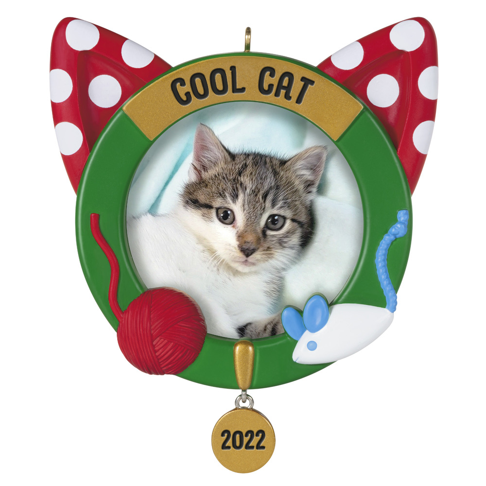 2022 Hallmark Keepsake Ornament Cool Cat Photo Frame