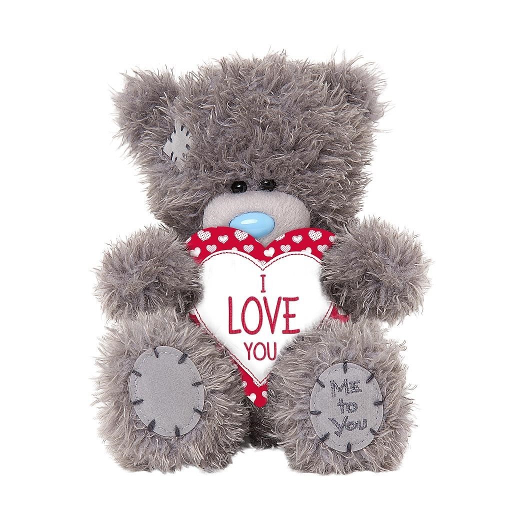 the love oasis teddy bear