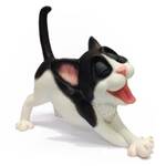 Pets with Personality - Little Paws - Misty Black & White Cat