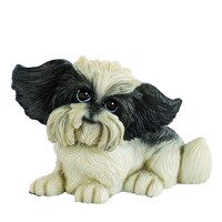 Pets With Personality - Little Paws - Oreo Shih Tzu