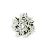 Raz Ornament - Beaded Berry Candle Ring White 4"