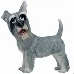 Pets With Personality - Colin Schnauzer