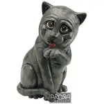 Pets With Personality - British Shorthair Cat George