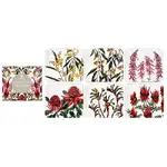 Ashdene Australian Floral Emblems - Assorted Coasters 6 Pack