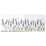 Ashdene Lavender Fields - Coasters 4 Pack
