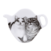 Ashdene Feline Friends - Fixated Friends Tea Bag Holder