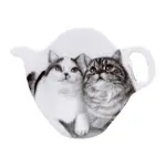 Ashdene Feline Friends - Fixated Friends Tea Bag Holder