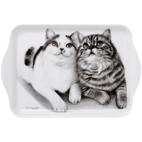 Ashdene Feline Friends - Fixated Friends Scatter Tray