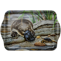 Ashdene Fauna of Australia - Platypus & Turtle Scatter Tray